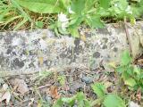 image of grave number 719670